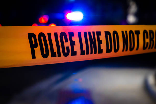 Lois Kelly Obituary: A Life of Love, Kindness, and Lasting Memories Remembered by Family and Friends.